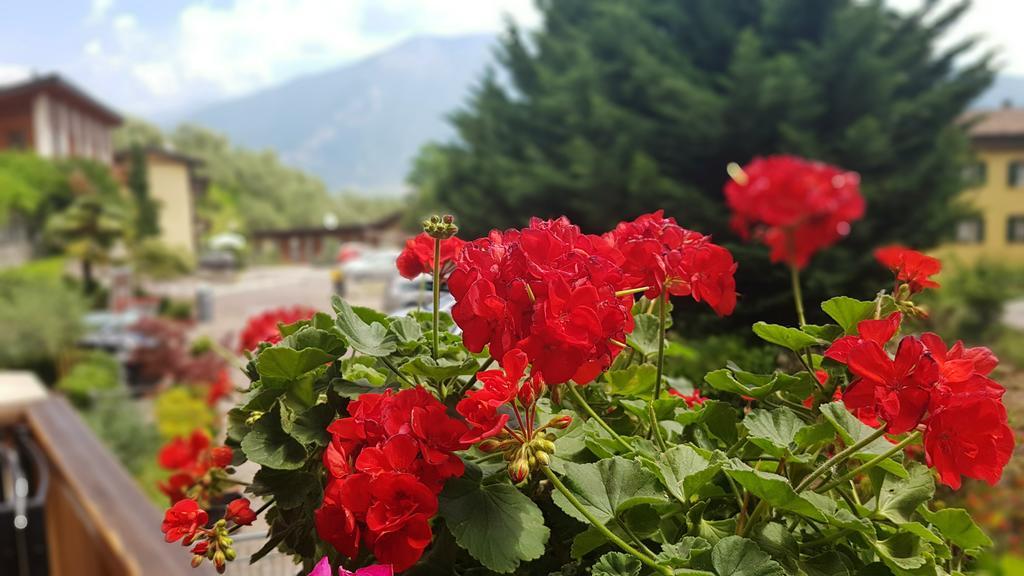 Appartamento Angi - Lago & Vacanza Attiva Riva del Garda Extérieur photo